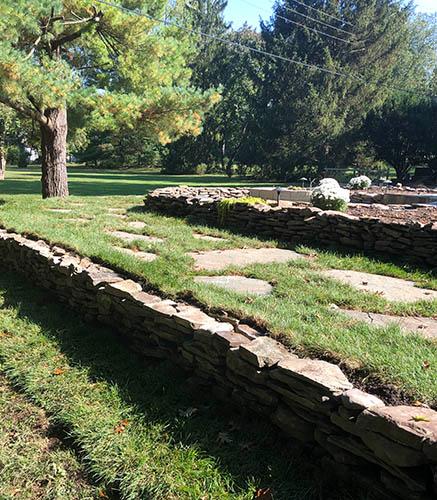 stepping stones in garden