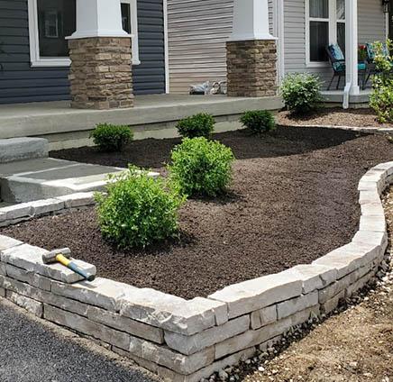 Landscaping bushes and mulch
