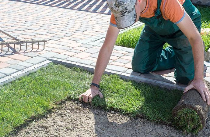 landscaping company installing grass sod