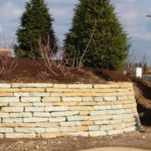 Rustic Buff Thin Wall Installed