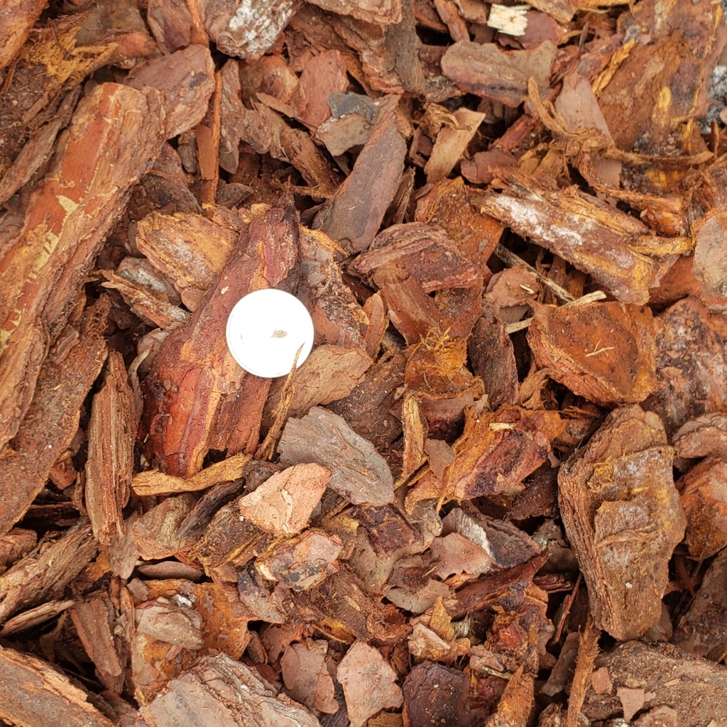 Pine Bark Mini Nugget Mulch Installed