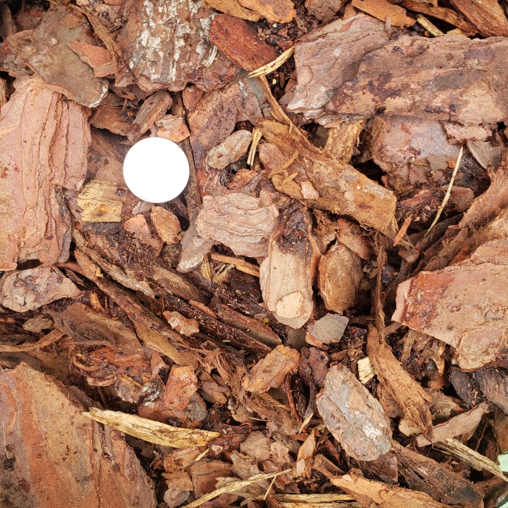 Pine Bark Nugget Mulch Installed