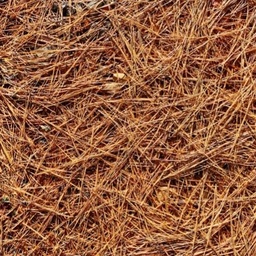 Pine Straw Mulch Installed